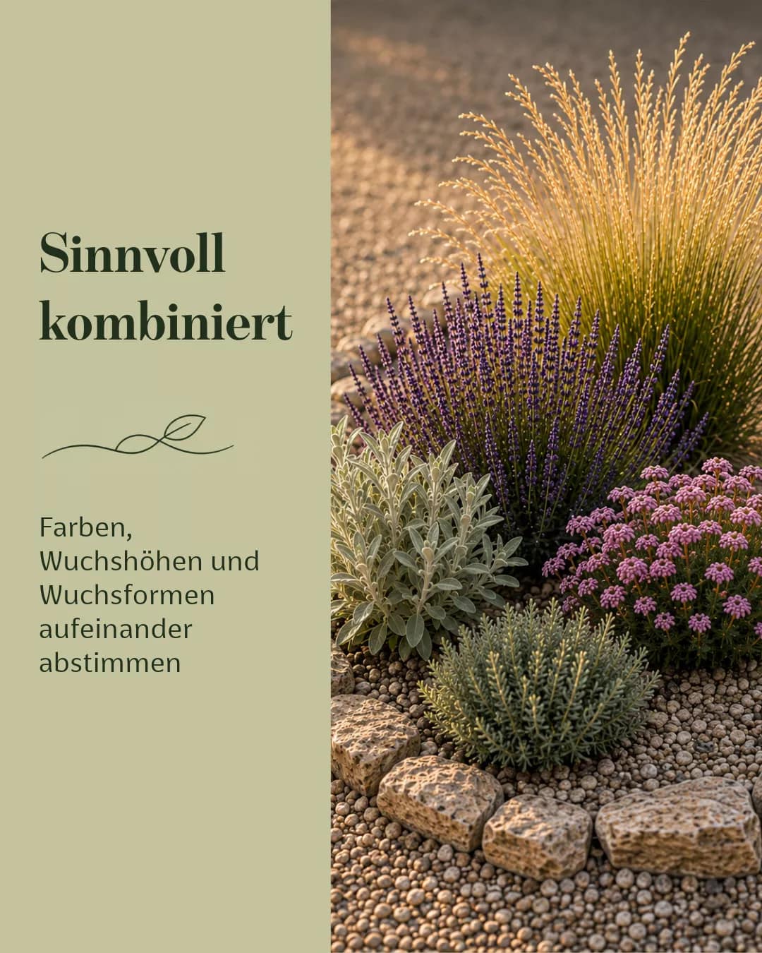 Kanalübergreifende Kommunikation für ein trockenheitsverträgliches Pflanzensortiment instagram-karussell-pflanzen-sinnvoll-kombinieren-slide-03