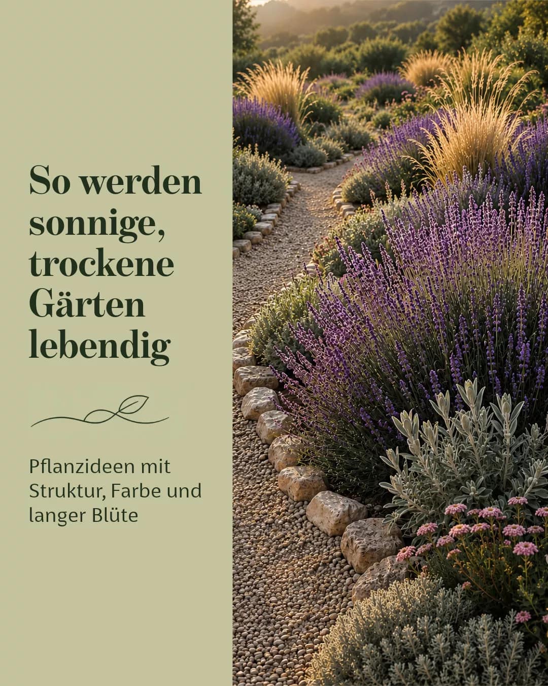 Kanalübergreifende Kommunikation für ein trockenheitsverträgliches Pflanzensortiment instagram-karussell-sonnige-trockene-gaerten-slide-01